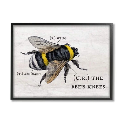 Stupell Industries Anatomy of Honey Bee Pun Framed Wall Art