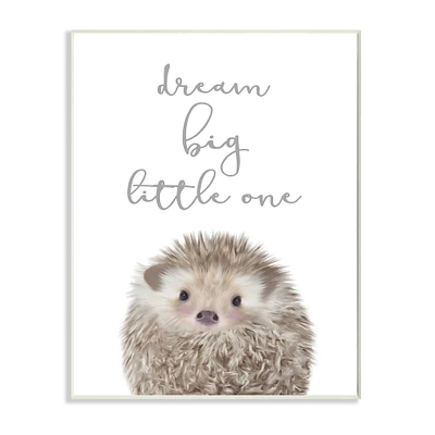 Stupell Industries Dream Big Little One Adorable Inspirational Hedgehog Wall Plaque