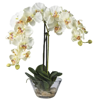 18" White Orchid Arrangement in Glass Vase