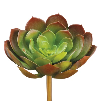 Soft Touch Green & Light Red Echeveria Pick 