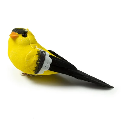 12 Pack: Finch Bird by Ashland®