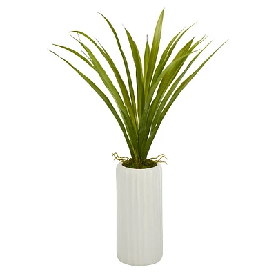 19'' Grass Plant in Tall White Planter