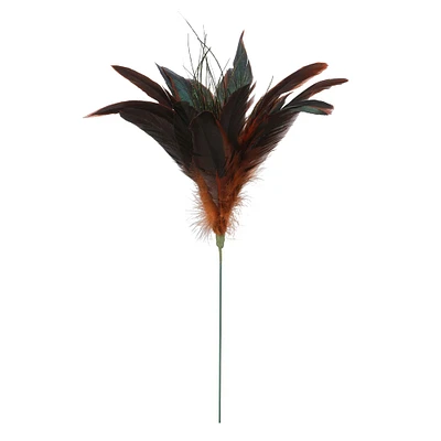 Chocolate Peacock Feather Pick by Ashland®