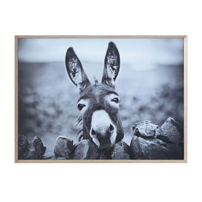 Hello Honey® Black & White Donkey on Canvas Wood Framed Wall Décor