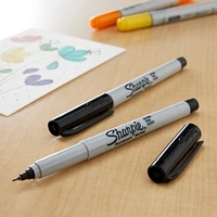 12 Packs: 2 ct. (24 total) Sharpie® Ultra Fine Point Black Permanent Markers