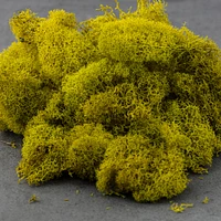 12 Pack: SuperMoss® Preserved Chartreuse Reindeer Moss