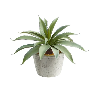 9" Potted Aloe Succulent Plant