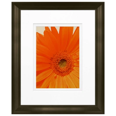 Timeless Frames® Daisy in Bloom Framed Print Wall Art