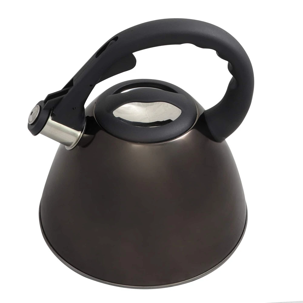 Mr. Coffee Clarendon 2.6qt. Gunmetal Metallic Stainless Steel Tea Kettle