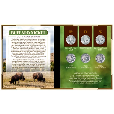 Buffalo Nickel Coin Set