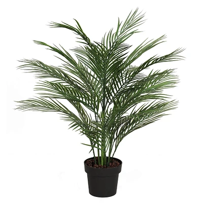 2.6ft. Potted Areca Palm Tree