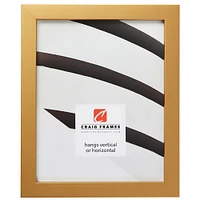 Craig Frames Confetti Gold Picture Frame