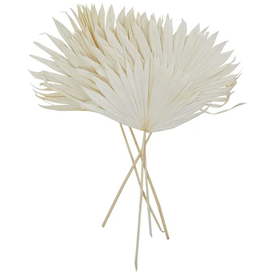 Novogratz White Sun Palm Spear Leaf Foliage Bundle