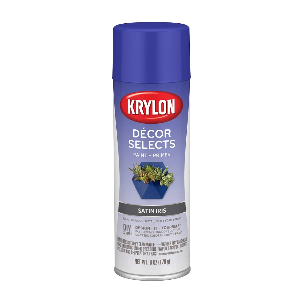 Krylon® Décor Selects Satin Paint & Primer