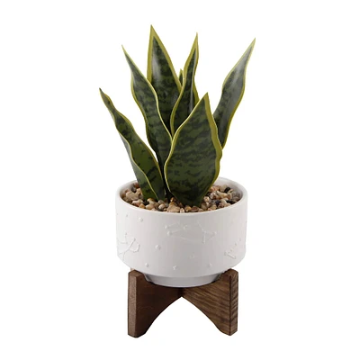 Flora Bunda® 9.7" Snake Plant in Ceramic Pot with Wood Stand