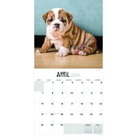 TF Publishing 2024 Puppies Wall Calendar