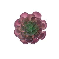 Flora Bunda® Large Echeveria Powder Succulent Pick