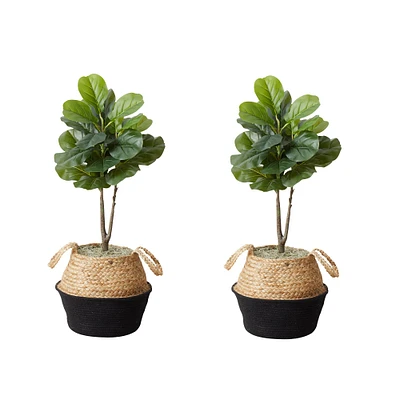 3ft. Artificial Fiddle Leaf Fig Tree With Handmade Cotton & Jute Woven Planter Set DIY Kit