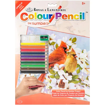 Royal & Langnickel® Cardinals Colour Pencil™ by Number Kit