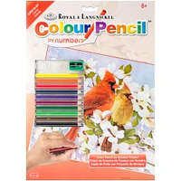 Royal & Langnickel® Cardinals Colour Pencil™ by Number Kit