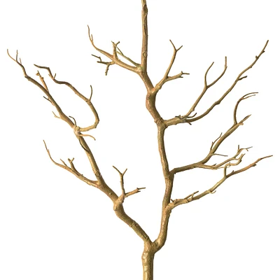 8 Pack: Brown Bare Birch Branch by Ashland®