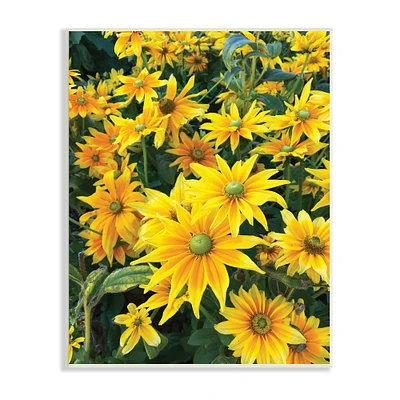 Stupell Industries Sunflower Field Blooming Green Bulbs Yellow Petals Wall Plaque