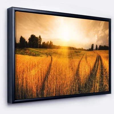 Designart - Wheat Field at Sunset Panorama