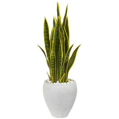 2.5ft. Green & Yellow Snake Plant in White Planter
