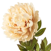 Jumbo Cream Peony Stem by Ashland®