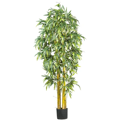 6ft. Potted Big Bamboo Tree 