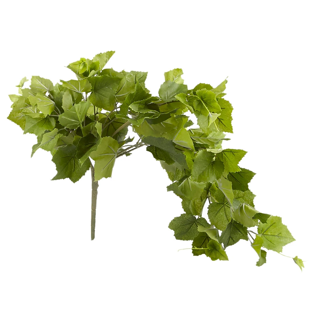 Green Hanging Grape Leaf Bush by Ashland®