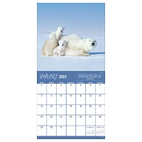 TF Publishing 2023 Wild Families Wall Calendar