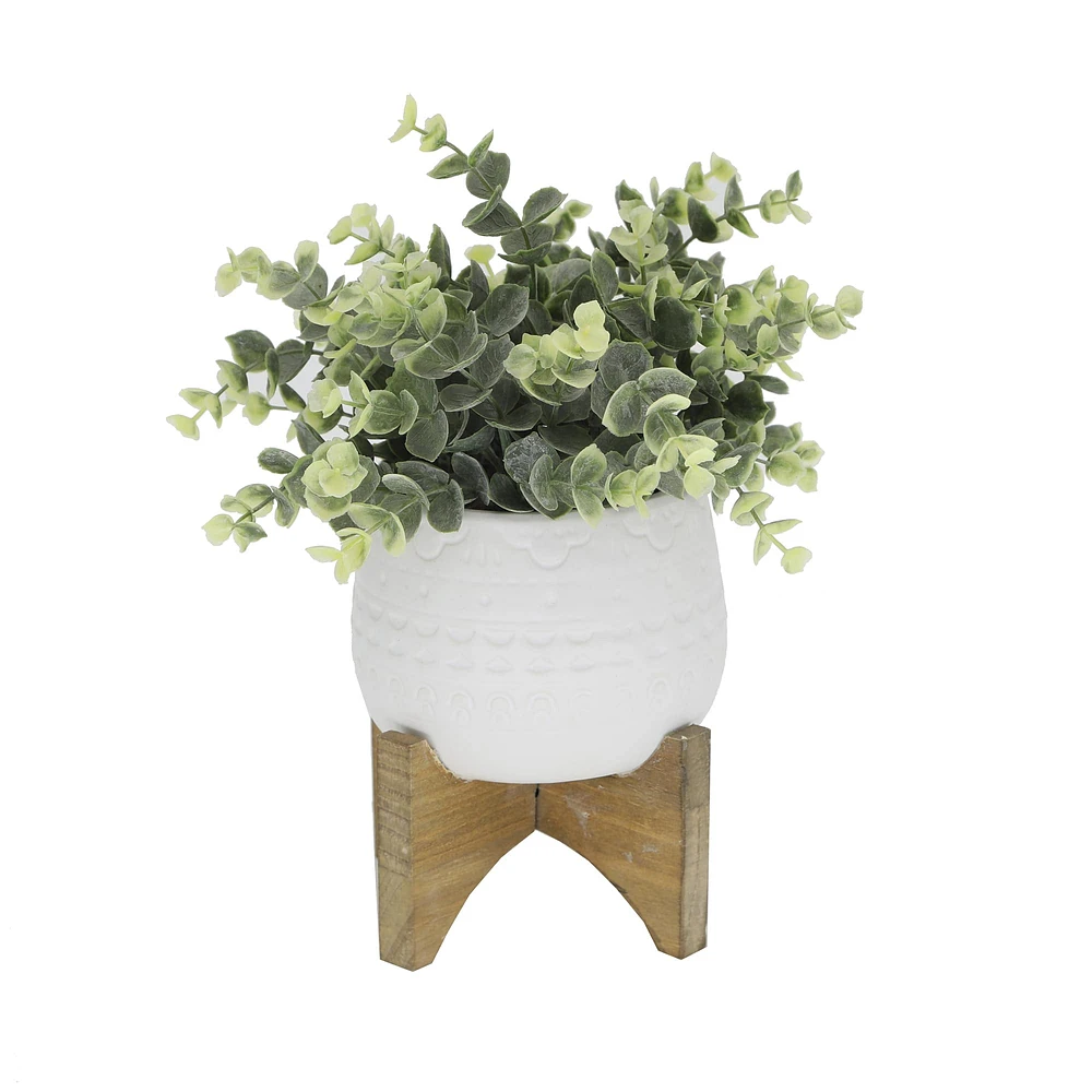 Flora Bunda® 4.7" Eucalyptus in Matte White Mayan Ceramic Pot on Wood Stand