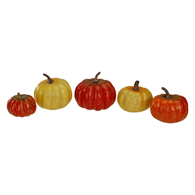 Fall Harvest Pumpkin Décor Set