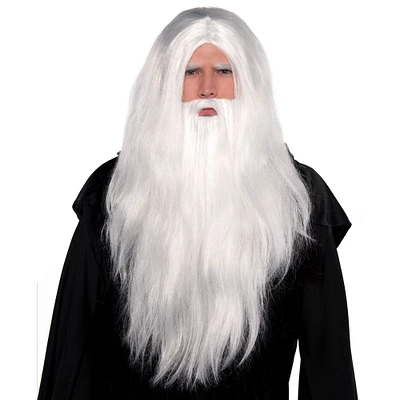 Adult Sorcerer Wig & Beard Set