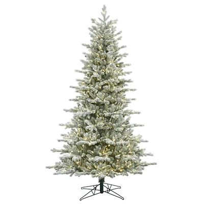 7.5ft. Pre-Lit Frosted Eastern Fraser Fir Artificial Christmas Tree, Warm White LED Lights