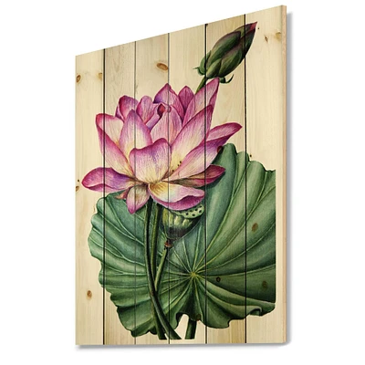 Designart - Vintage Pink Lotuses In The Pond VI