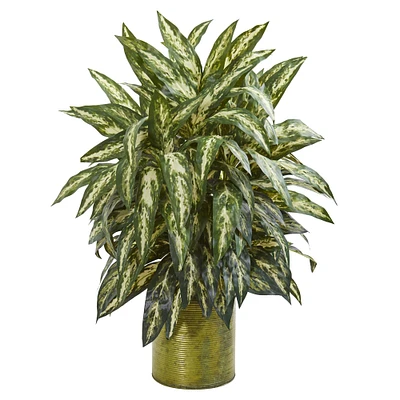 2.5ft. Chinese Evergreen Plant in Metal Planter