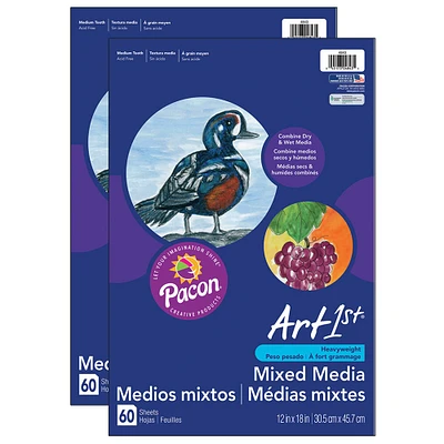 Art1st® Mixed Media Art Paper, 2 Packs of 60