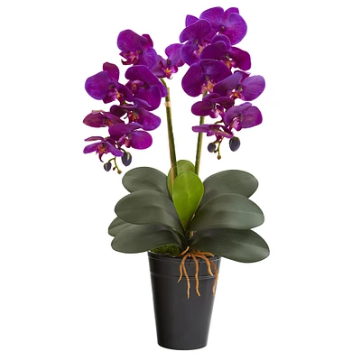 23" Double Orchid Arrangement In Vase