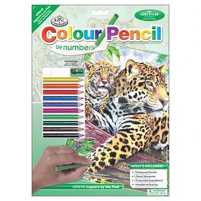 Royal & Langnickel® Jaguars by the Pool Colour Pencil™ by Number Kit