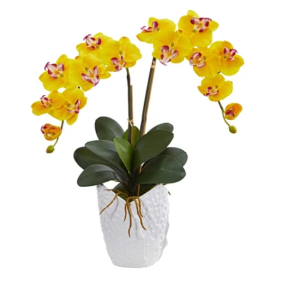 23" Double Phalaenopsis Orchid Arrangement in White Ceramic Vase