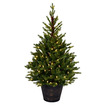 4ft. Pre-Lit Reeder Pine Artificial Christmas Tree, White LED Lights