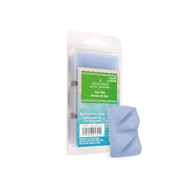 Sea Mist Scented Wax Melts by Ashland®