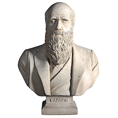 Design Toscano 27" The Evolution of Charles Darwin Bust Statue