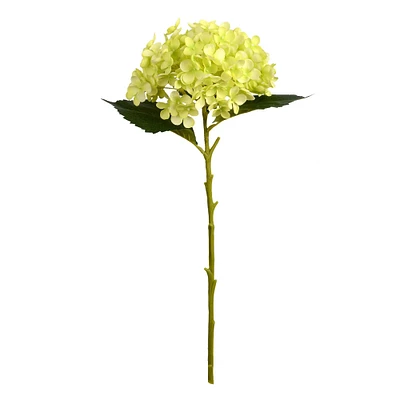 3 Pack: Green Hydrangea Stem