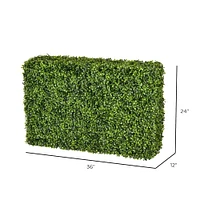 2ft. Boxwood Hedge