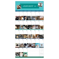 2023 Cat-A-Day Wall Calendar