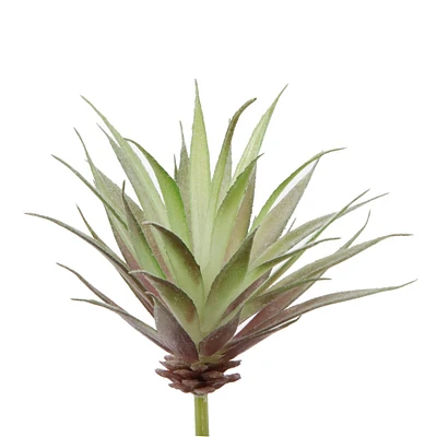 Flora Bunda® Agave Succulent Pick, 6ct.