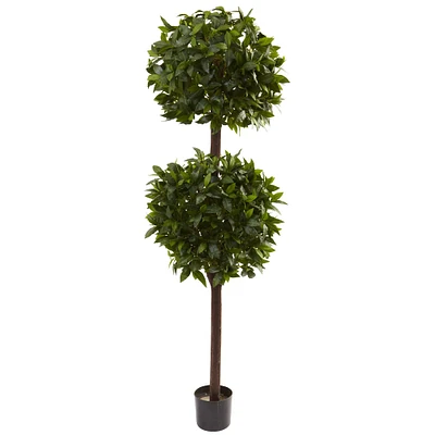 6ft. Potted Sweet Bay Double Ball Topiary Plant